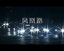 《凤凰路》影评：寻根之旅，在希望与失落间涅槃
